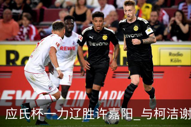 应氏杯一力辽胜许嘉阳 与柯洁谢科许皓鋐进4强